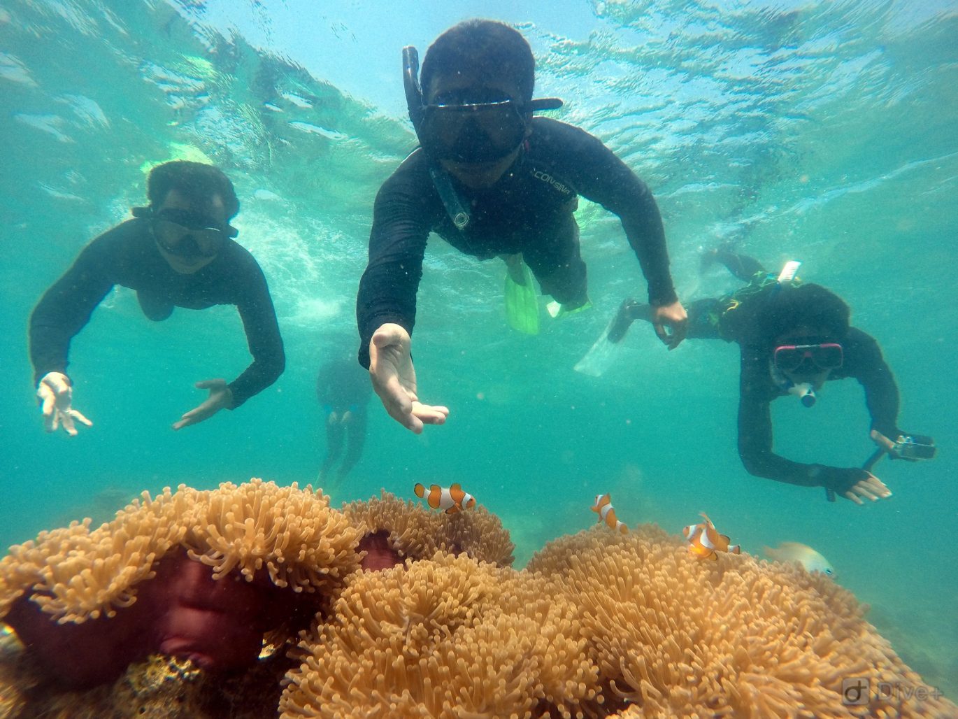 Snorkeling: Selam Dangkal Yang Tak Kalah Menarik Dari Diving - Bayubara.com